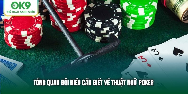 Tổng quan đôi điều cần biết về thuật ngữ Poker